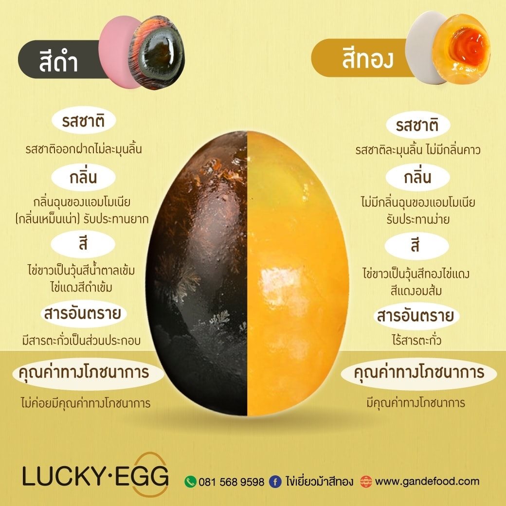 ไข่เยี่ยวม้าสีทอง @ไข่ทองคำ 6 ฟอง (ไข่เป็ด) ไข่เยี่ยวม้าสีทอง @ไข่ทองคำ 6 ฟอง (ไข่เป็ด)