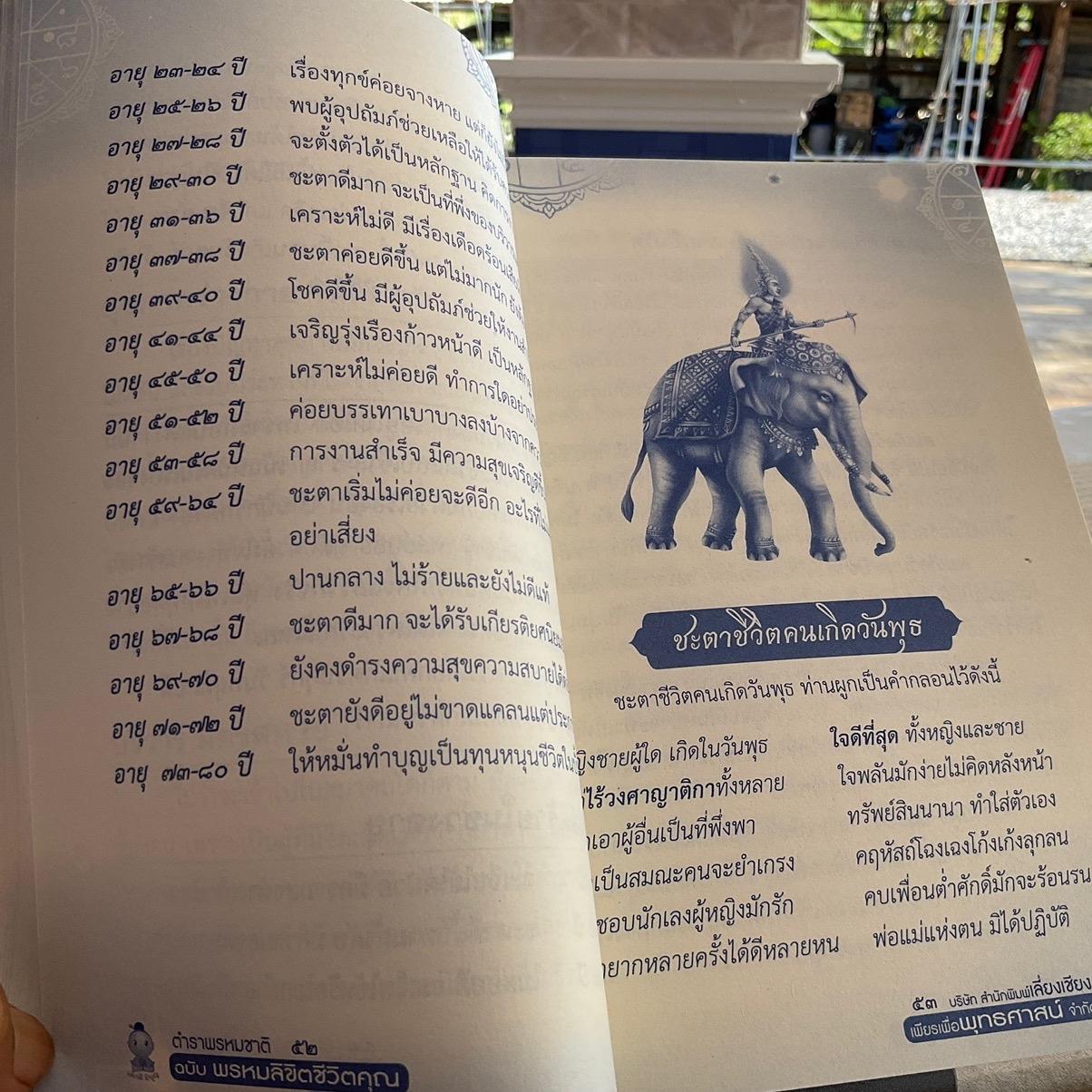 My Image 24