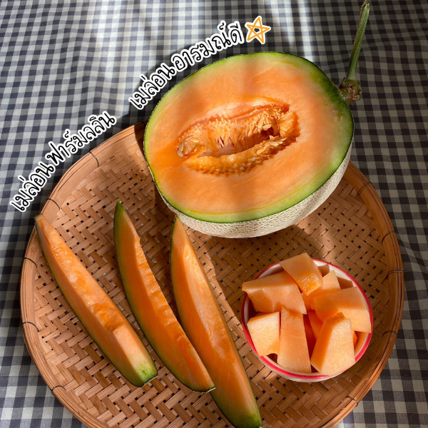 เมล่อน, melon, premium melon, japanese, japanese melon, melon lover
