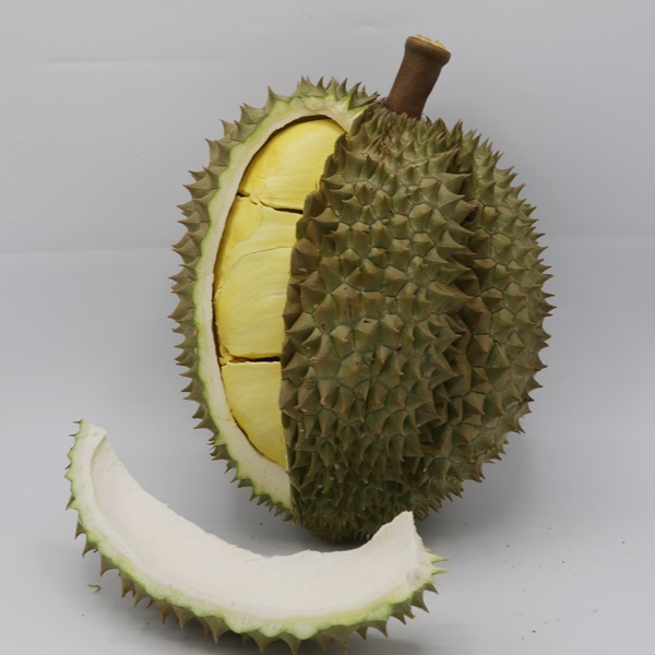 My Image 8