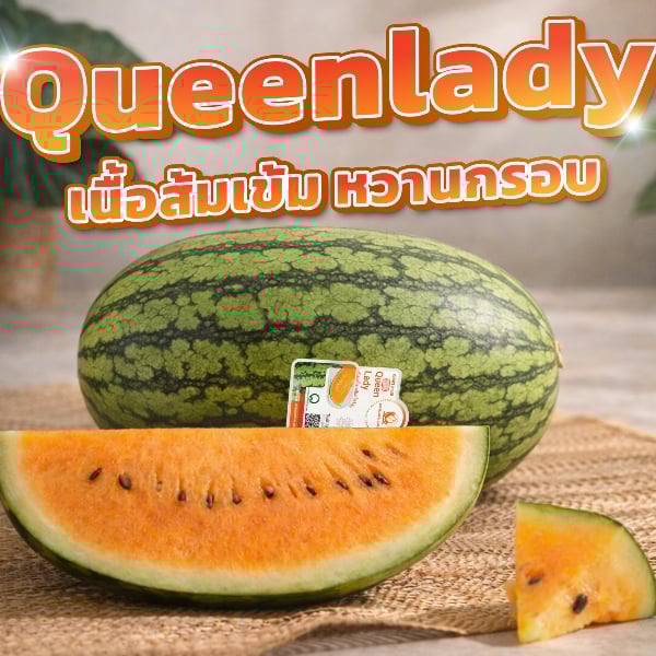 แตงโมควีนเลดี้ (Queenlady) ไซส์ L (3.5 ถึง 4 กก.) 1 ลูก