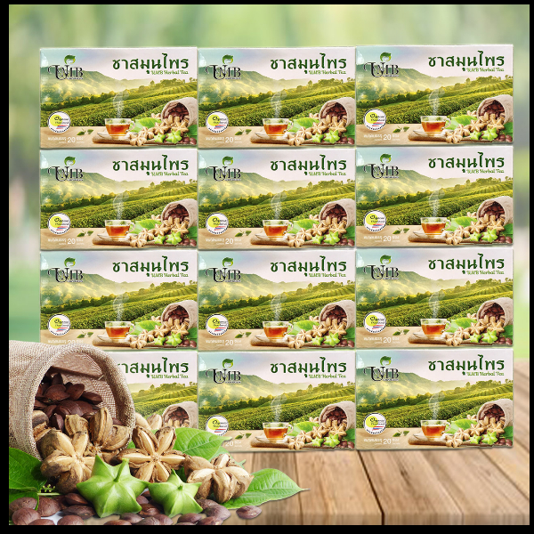 ชาสมุนไพรถั่วดาวอินคา 20 ซอง 12 กล่อง