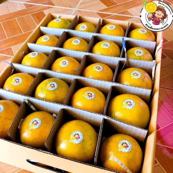 ส้มสายน้ำผึ้ง ผิวลาย  (คละเบอร์4-5) บรรจุกล่อง 5 กิโลกรัม 40 ลูก