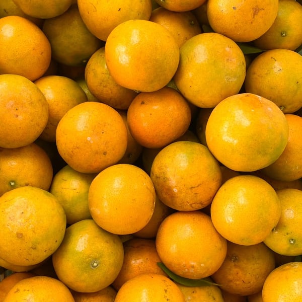 ส้มสายน้ำผึ้ง(ผิวลาย) อำเภอฝาง เบอร์ 4-5 นน. 10 กิโลกรัม