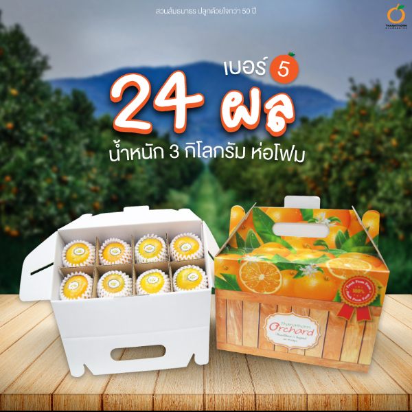 ส้มสายน้ำผึ้ง สวนส้มธนาธร เบอร์ 5 24 ลูก 3 กิโลกรัม  ห่อโฟม