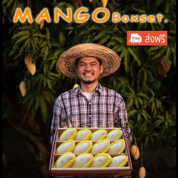 มะม่วงน้ำดอกไม้สีทอง เกรด A  หวาน อร่อย บ้านไร่กุญชร The mango farm บรรจุ 5 กิโลกรัม