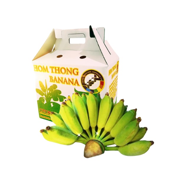 กล้วยน้ำว้าปลอดสารพิษ แบบกล่อง (1 หวี) - สหกรณ์การเกษตรท่ายาง