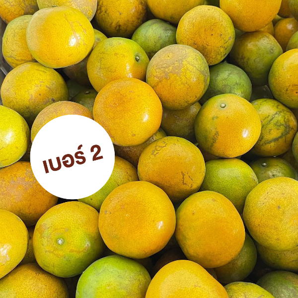 ส้มสายน้ำผึ้ง (ผิวลาย) สำหรับคั้น ลูกมินิไซส์ อำเภอฝาง เบอร์ 2-3 นน. 5 กิโลกรัม