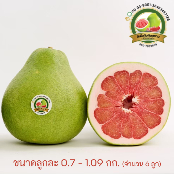 ส้มโอทับทิมสยาม ของดีปากพนัง ขนาดลูกละ 0.7-1.09 กก.(จำนวน 6 ลูก)