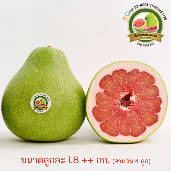 ส้มโอทับทิมสยาม ของดีปากพนัง ขนาดลูกละ 1.8++ กก.(จำนวน 4 ลูก)