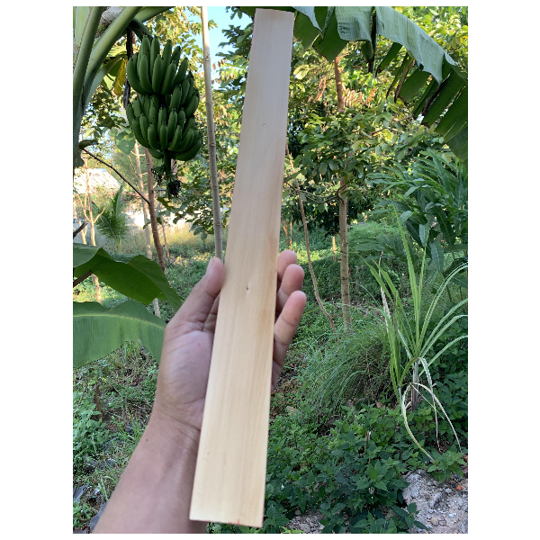 ใบลานแท้ เปล่า-ขนาดใหญ่ 1 ใบ - แบ่งขายใบละ - ใบลานแท้ (ขนาดใหญ่ 5x51ซ.ม.) จากต้นลาน ใบลานเปล่า สำหรับบันทึกหรือจาร อักษระ คำสอน เทศนา ฯลฯ ด้วยตนเอง (กว้าง 5 ยาว 51 ซ.ม.) - จำหน่ายใบละ....บาท (แบ่งขาย) - ร้านบาลีบุ๊ก Palibook